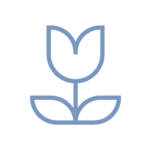 Artboard 3 copy 7@4x-8